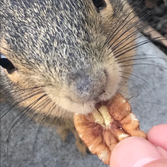 🎉🌈posh ambassador🌈🎉 - Picture 7 of 7